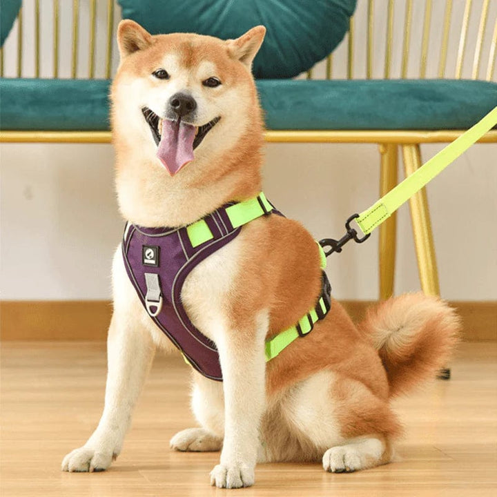 PawsControl - The Ultimate No Pull Dog Harness - No - Pull Dog Harness - BowLift