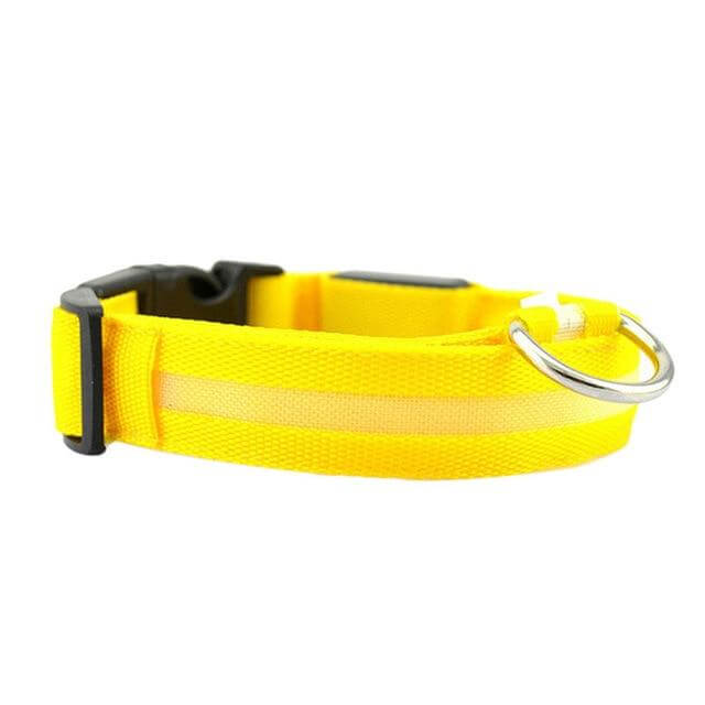 Kalsten | GlowPets LED Collar – Safety & Visibility for Pets