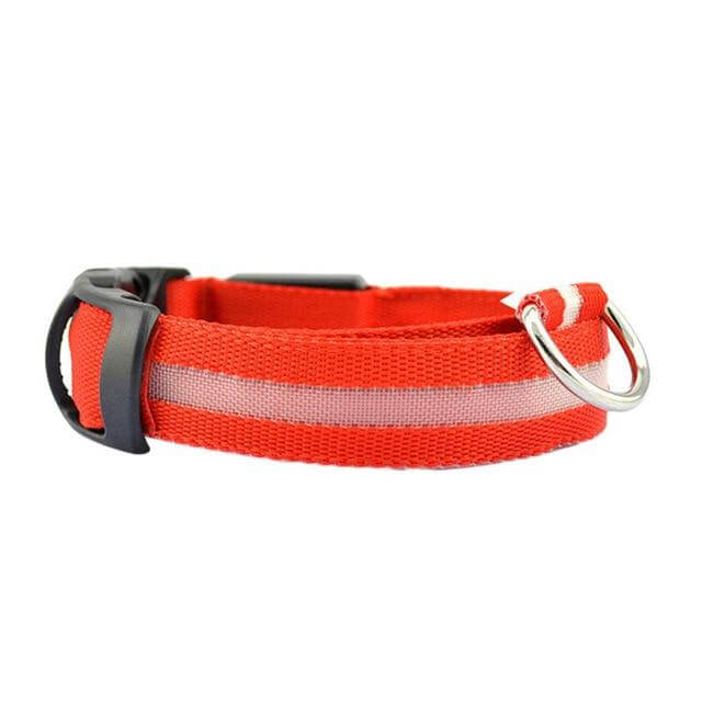 Kalsten | GlowPets LED Collar – Safety & Visibility for Pets