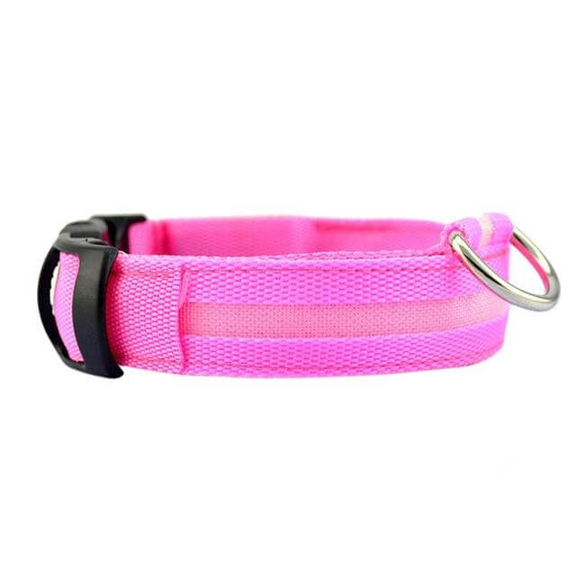 Kalsten | GlowPets LED Collar – Safety & Visibility for Pets