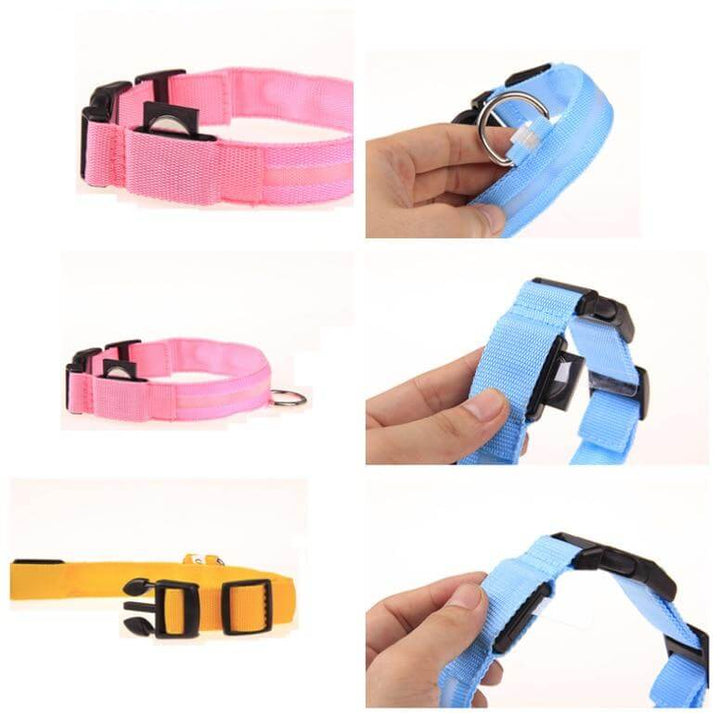 Kalsten | GlowPets LED Collar – Safety & Visibility for Pets