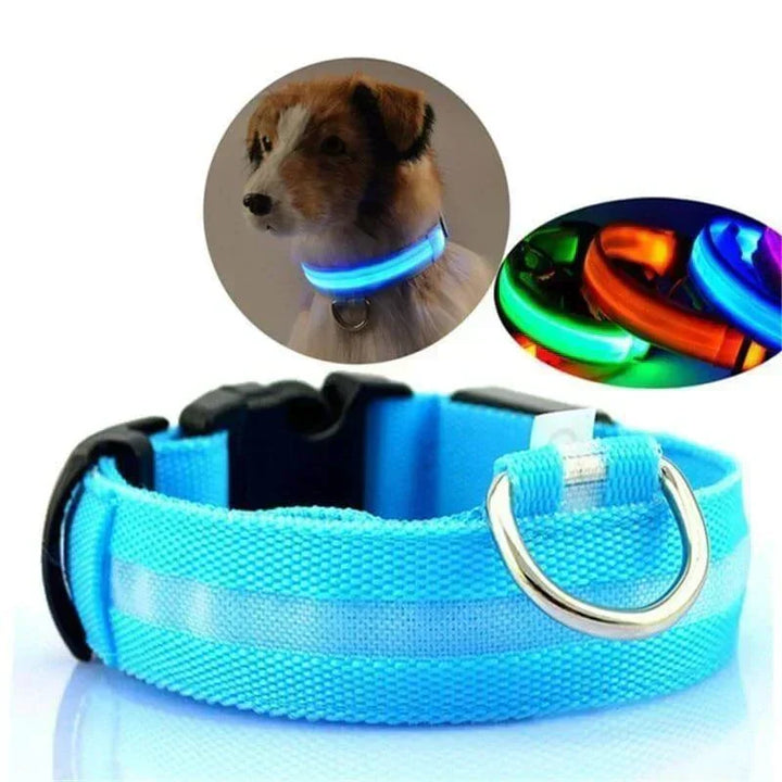 Kalsten | GlowPets LED Collar – Safety & Visibility for Pets