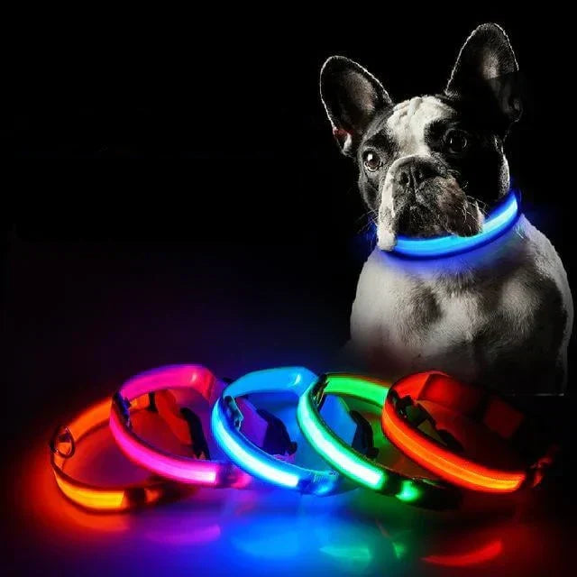 Kalsten | GlowPets LED Collar – Safety & Visibility for Pets