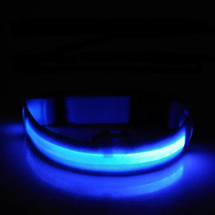 Kalsten | GlowPets LED Collar – Safety & Visibility for Pets