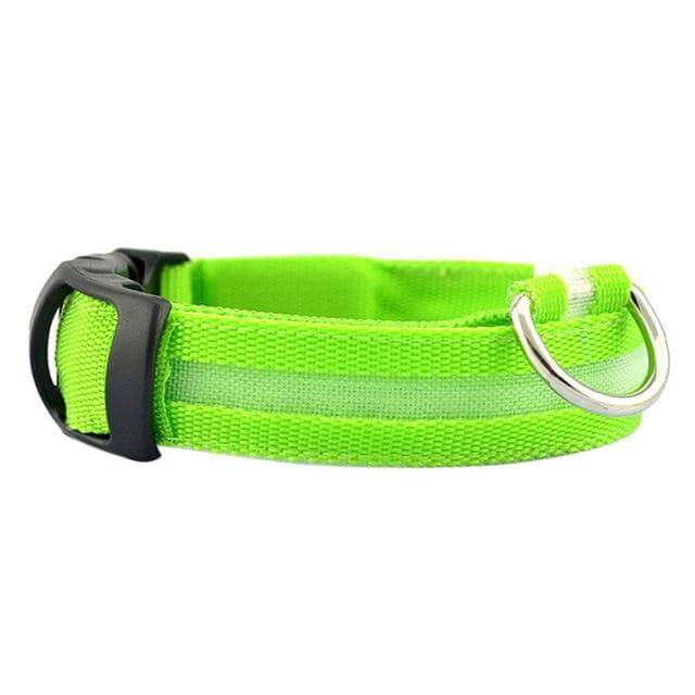 Kalsten | GlowPets LED Collar – Safety & Visibility for Pets