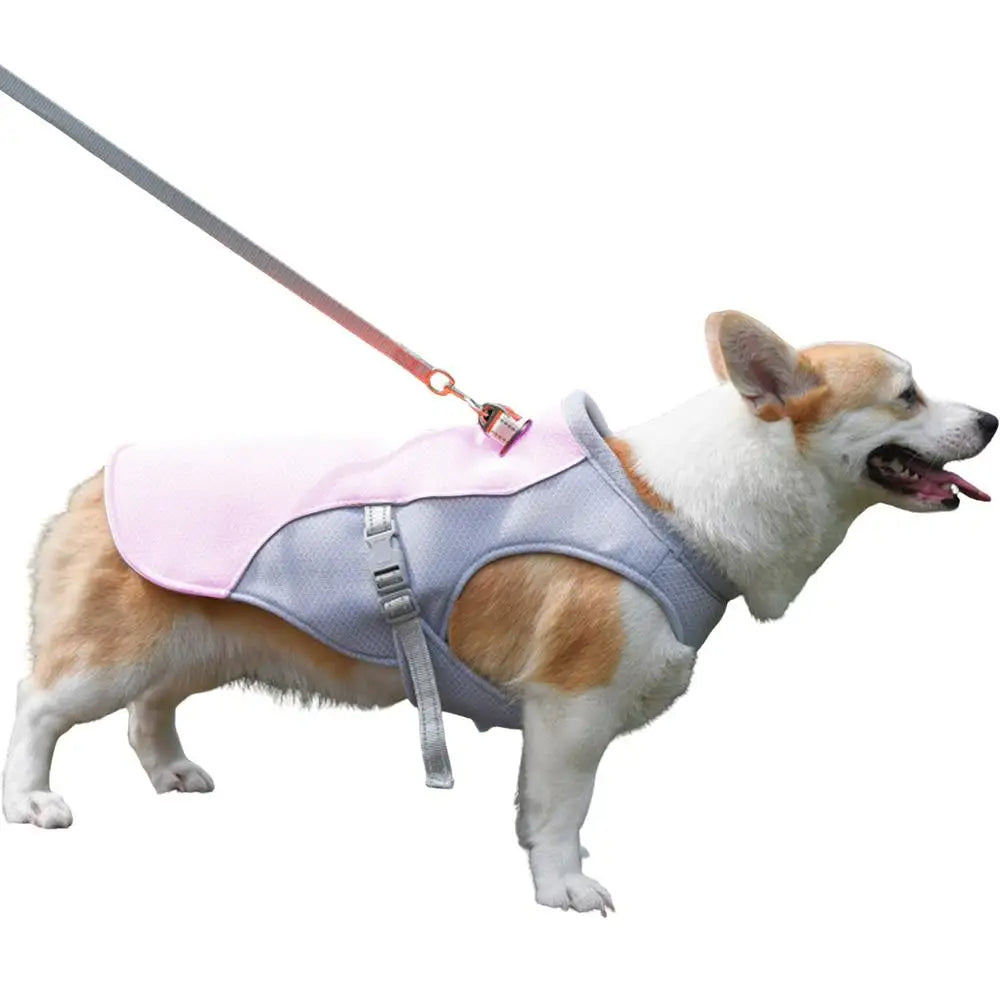 Dog Cooling Vest for Outdoor Activities | Kalsten