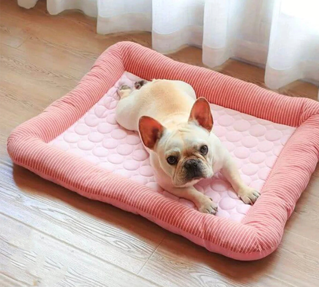 Cooling Dog Bed with Ice Silk Material | Kalsten