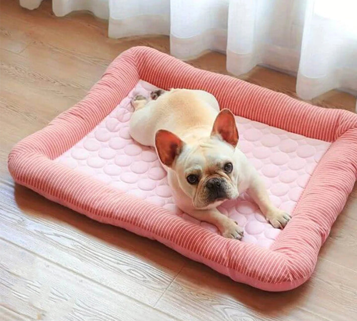 Cooling Dog Bed with Ice Silk Material | Kalsten