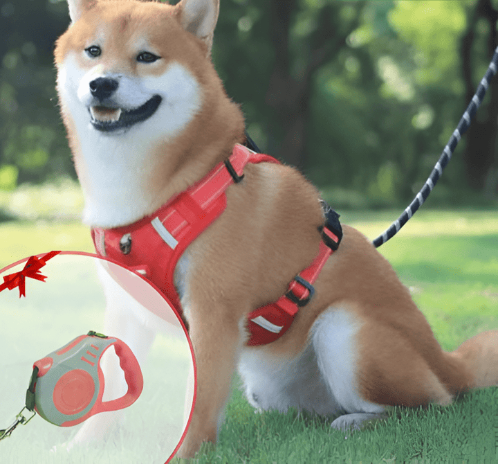DogGrip Walk safely with your dog | Kalsten