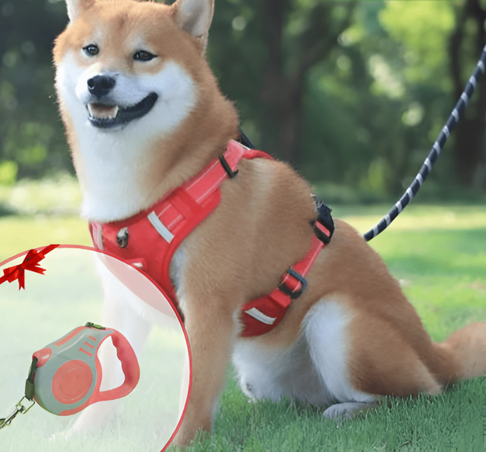 DogGrip Walk Safely with Your Dog | Kalsten