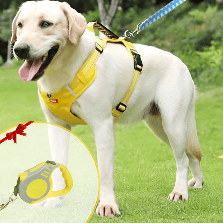 DogGrip Walk safely with your dog | Kalsten