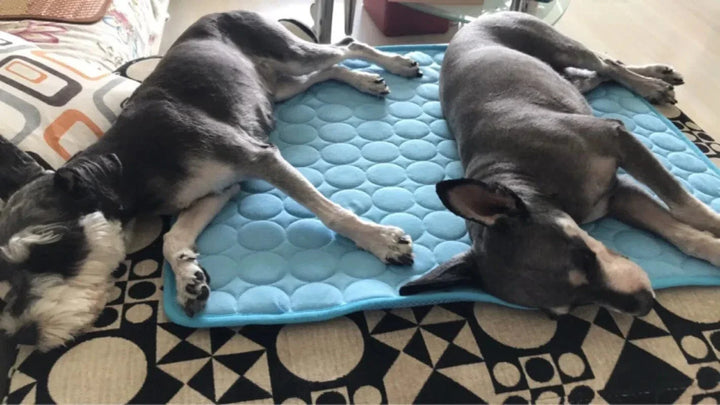 Dog Cooling Mat Summer Pad for Dogs Cat Blanket Breathable Dog Bed Kennel Puppy Sleeping Sofa Cushion Dog Accessories | Kalsten