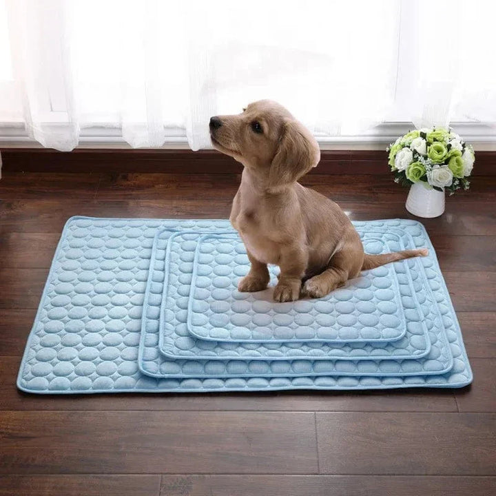 Dog Cooling Mat Summer Pad for Dogs Cat Blanket Breathable Dog Bed Kennel Puppy Sleeping Sofa Cushion Dog Accessories | Kalsten