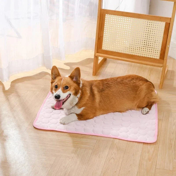Summer Cooling Pet Mat Gel Ice Pad for Dogs Cats Breathable Soft Kennel Bed Non-Slip Hot Weather Cool Pad Pet Supplies | Kalsten