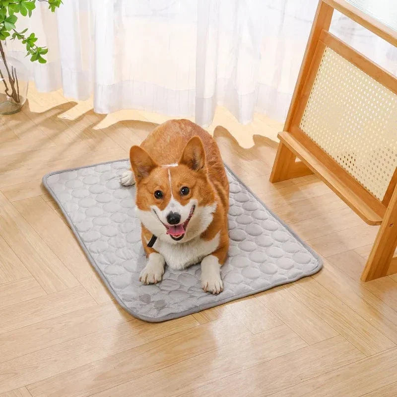 Summer Cooling Pet Mat Gel Ice Pad for Dogs Cats Breathable Soft Kennel Bed Non-Slip Hot Weather Cool Pad Pet Supplies | Kalsten