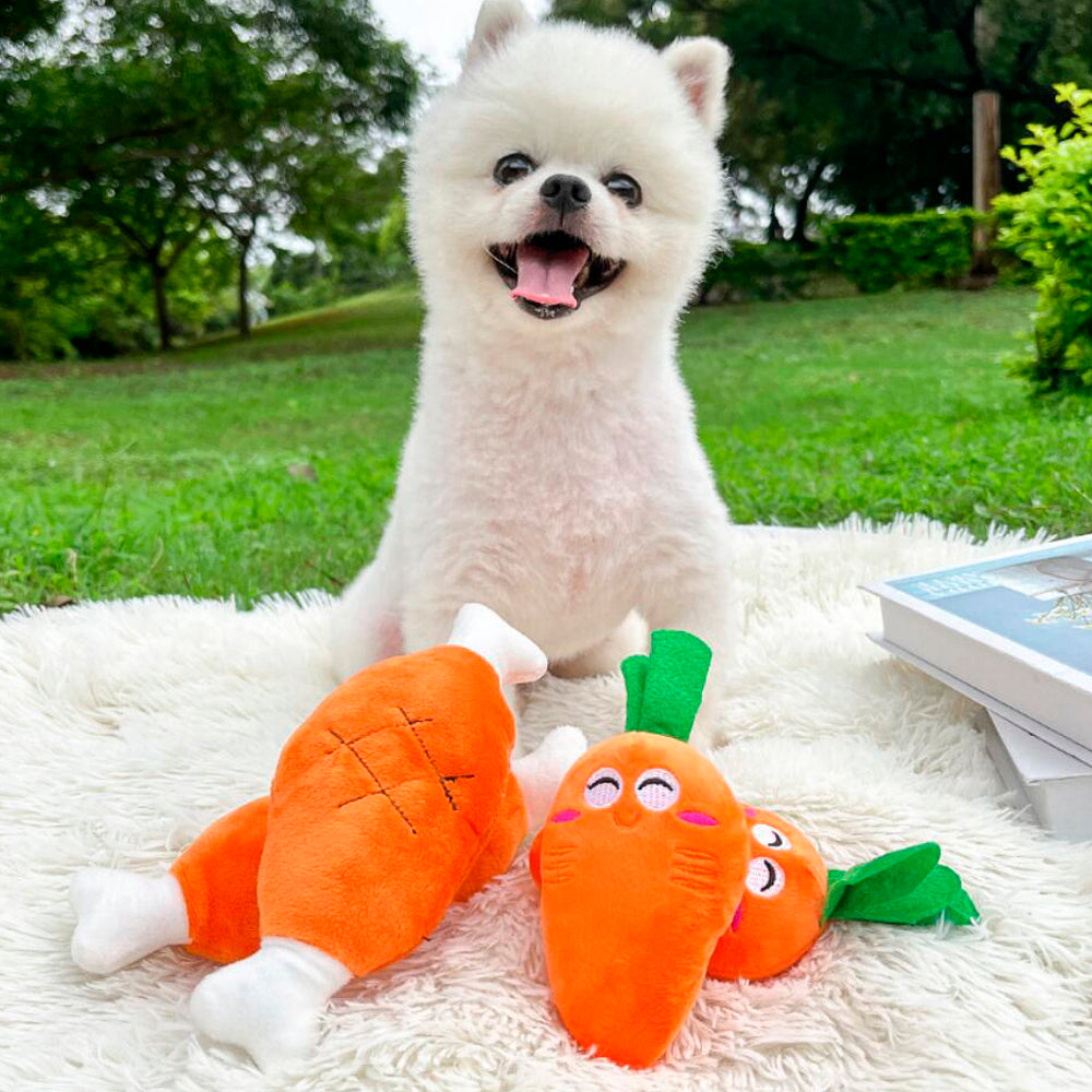 Dog toy – Funny carrot or chicken leg with squeaker | Kalsten