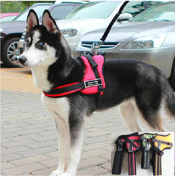Dog Walking Harness | Kalsten