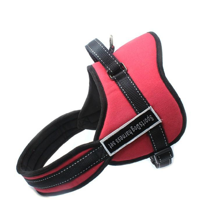 Dog Walking Harness | Kalsten