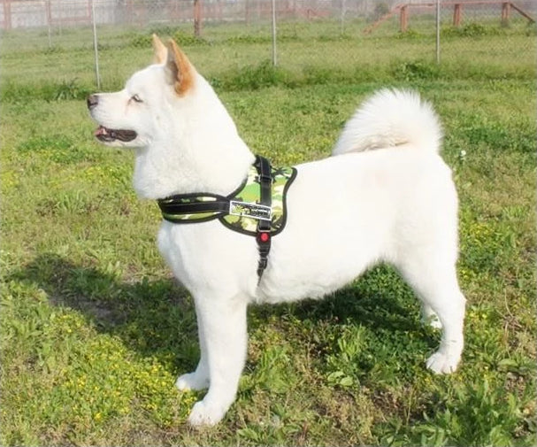 Dog Walking Harness | Kalsten