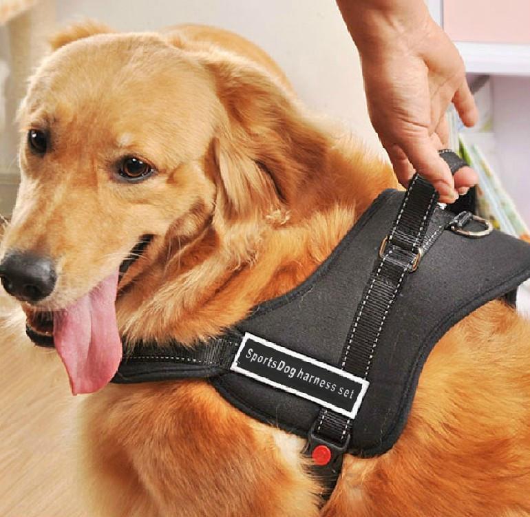 Dog Walking Harness | Kalsten