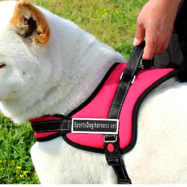 Dog Walking Harness | Kalsten