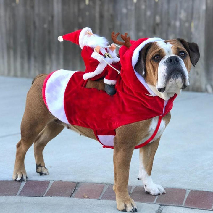 Christmas Dog Costume | Kalsten