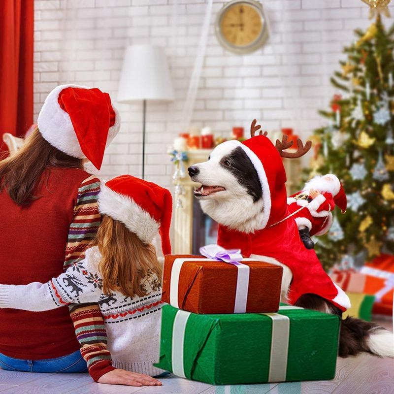 Christmas Dog Costume | Kalsten