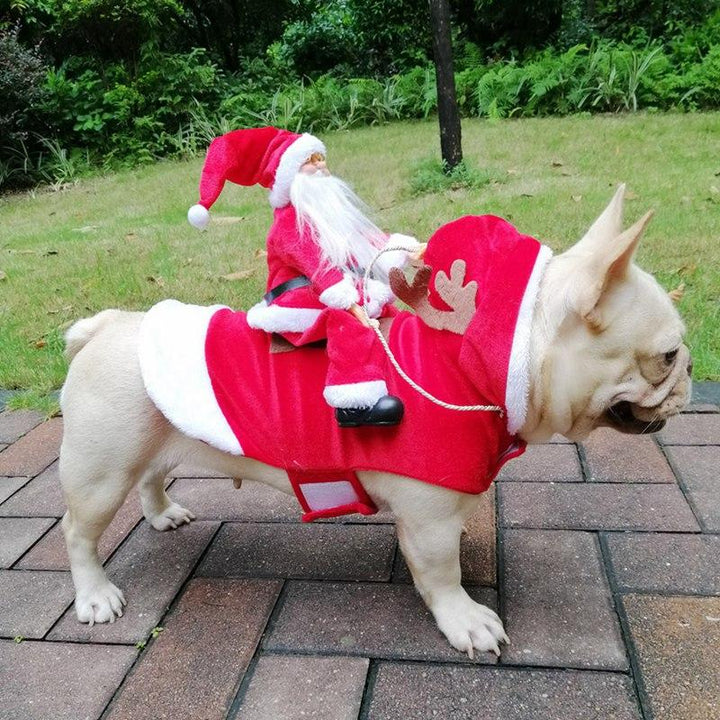 Christmas Dog Costume | Kalsten