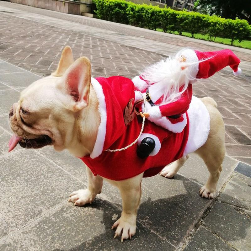 Christmas Dog Costume | Kalsten