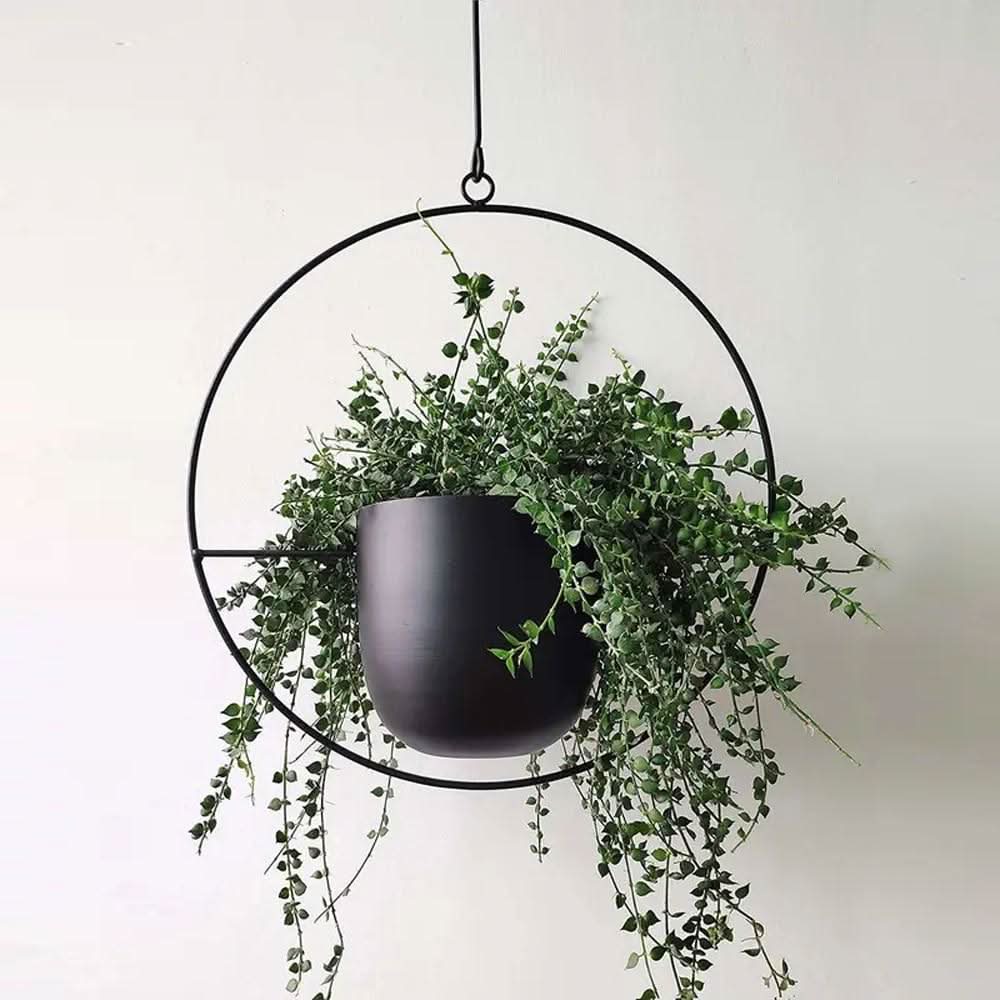 Kalsten | Wall Hanging Metal Plant Holder – FloraFrame