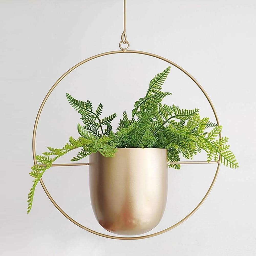Kalsten | Wall Hanging Metal Plant Holder – FloraFrame