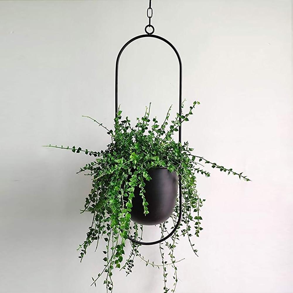 FloraFrame Elegant Metal Wall & Ceiling Plant Holder