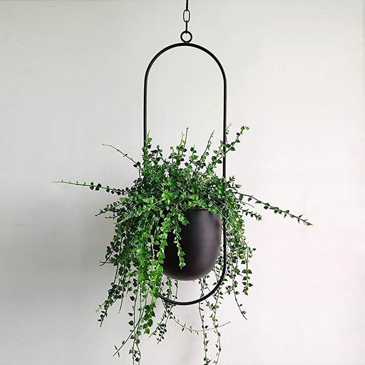 FloraFrame Elegant Metal Wall & Ceiling Plant Holder