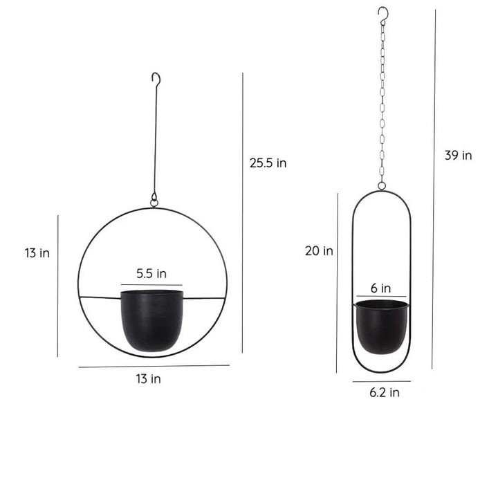 FloraFrame Elegant Metal Wall & Ceiling Plant Holder