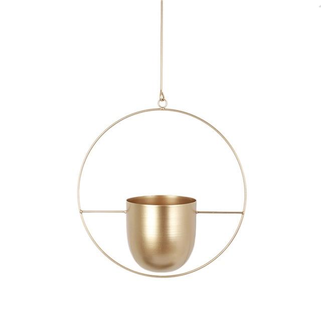FloraFrame Elegant Metal Wall & Ceiling Plant Holder
