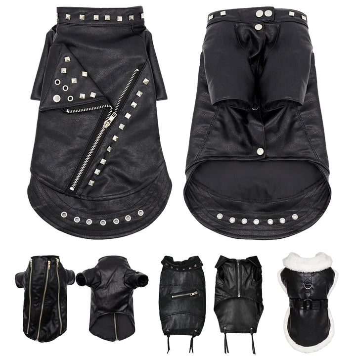 Kalsten | Cool Cute Leather Pet Jacket