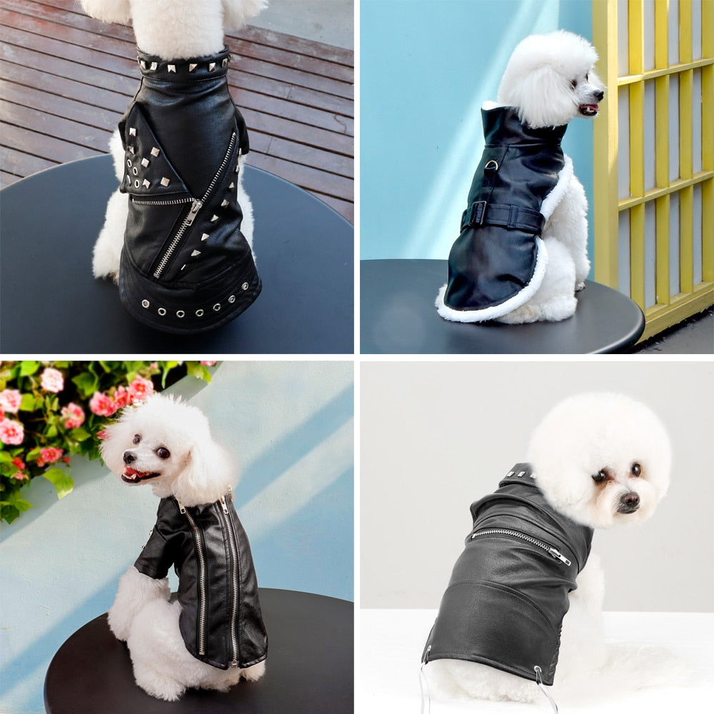 Kalsten | Cool Cute Leather Pet Jacket