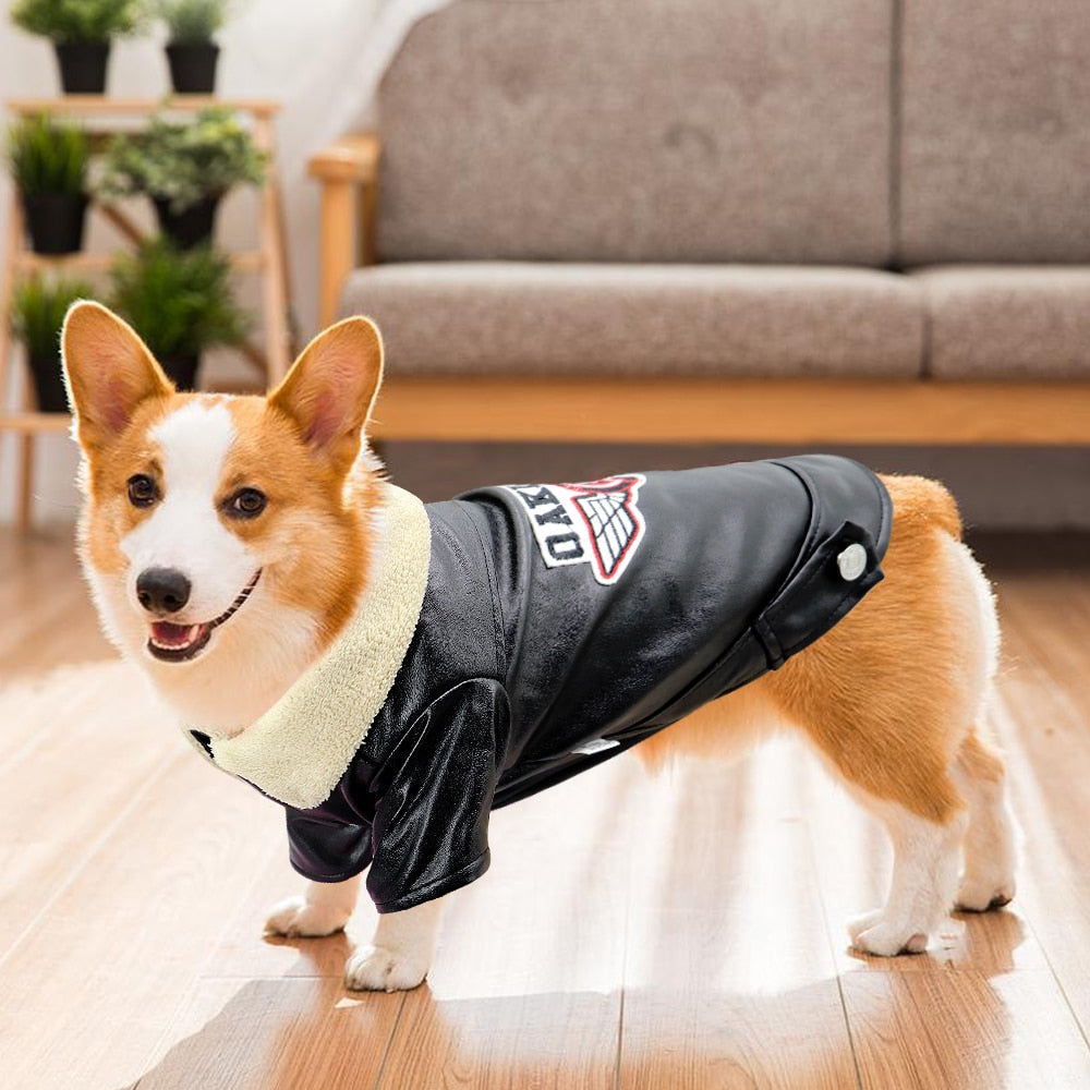Kalsten | Cool Cute Leather Pet Jacket