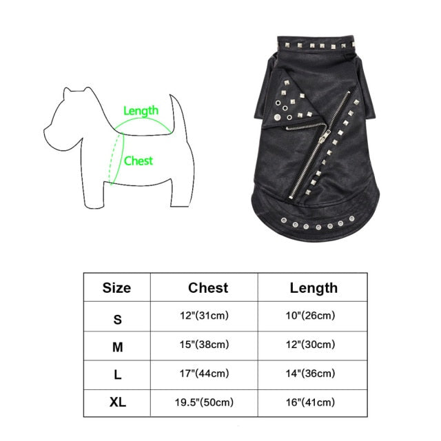 Kalsten | Cool Cute Leather Pet Jacket