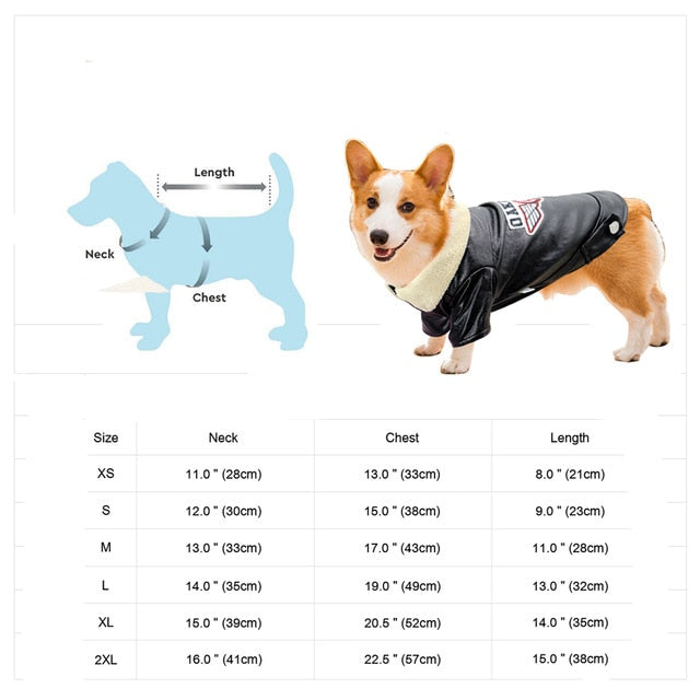 Kalsten | Cool Cute Leather Pet Jacket