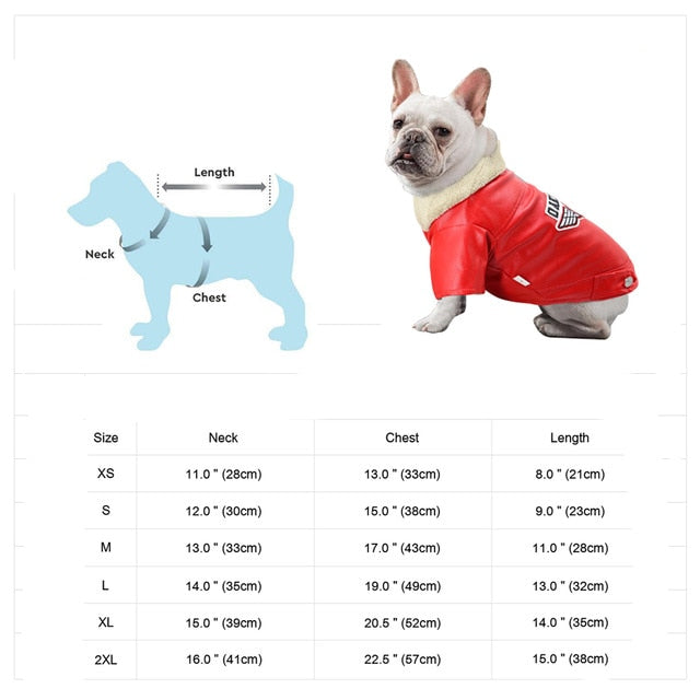 Kalsten | Cool Cute Leather Pet Jacket