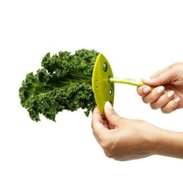 Kale & Herb Stripper | Kalsten