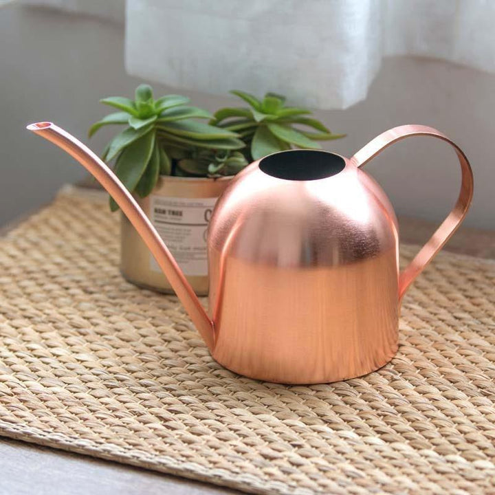 Kalsten | Stainless Steel Watering Can with Flexible Neck | Modern Design | Perfect Watering | Rustproof