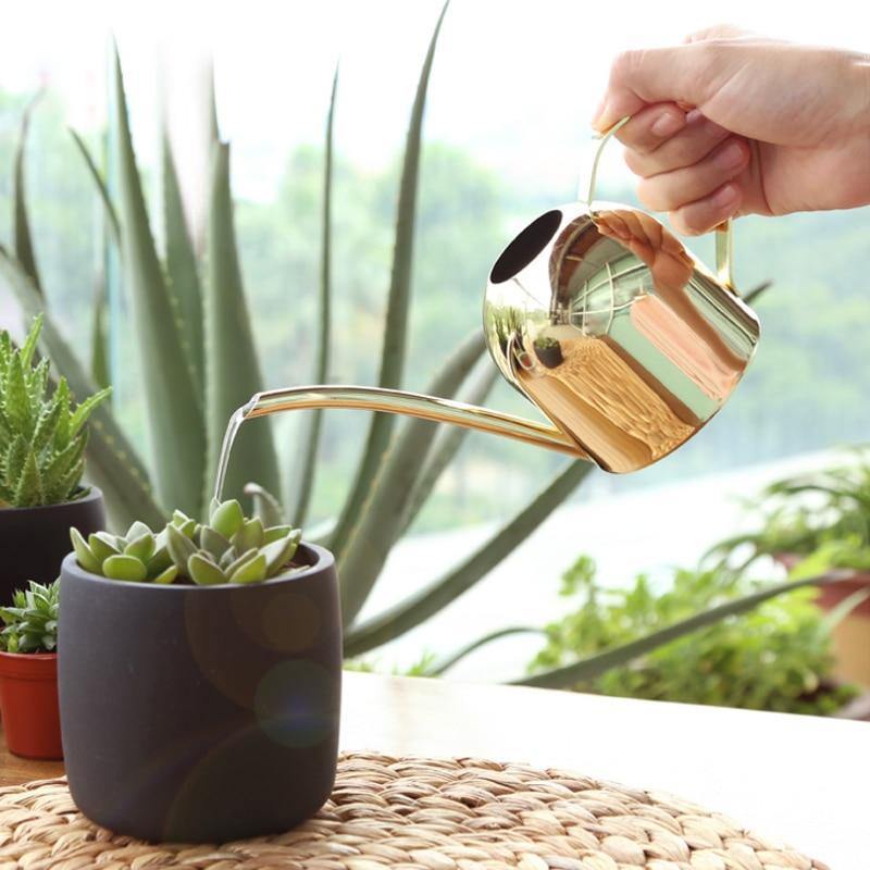 Kalsten | Stainless Steel Watering Can with Flexible Neck | Modern Design | Perfect Watering | Rustproof