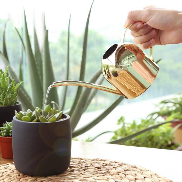 Kalsten | Stainless Steel Watering Can with Flexible Neck | Modern Design | Perfect Watering | Rustproof