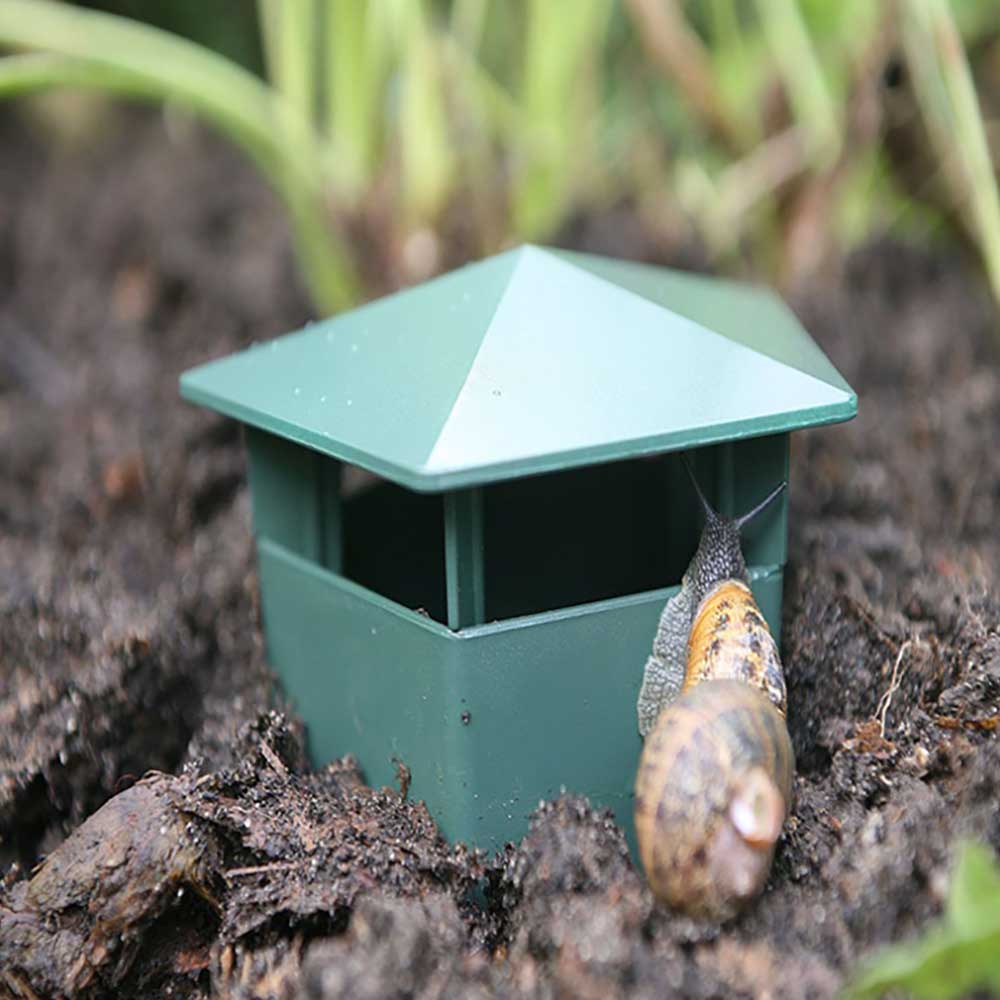 Eco-Friendly Farm Protector Insect Trap Box | Kalsten