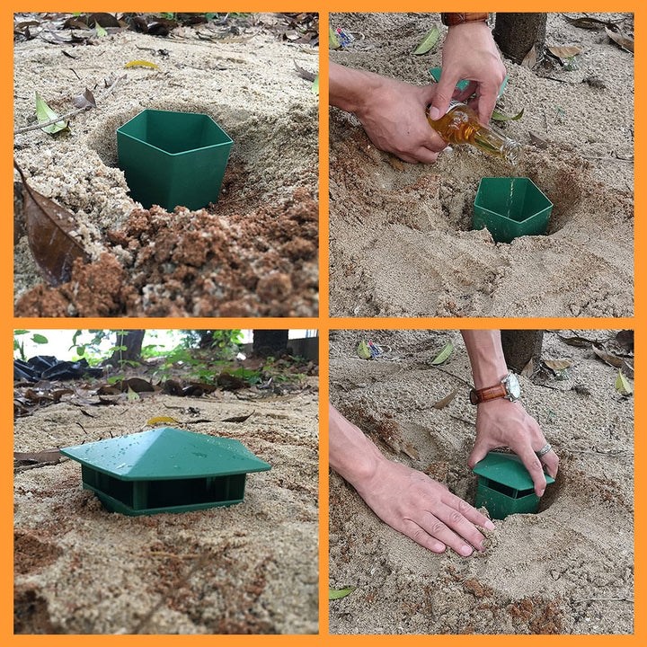 Eco-Friendly Farm Protector Insect Trap Box | Kalsten