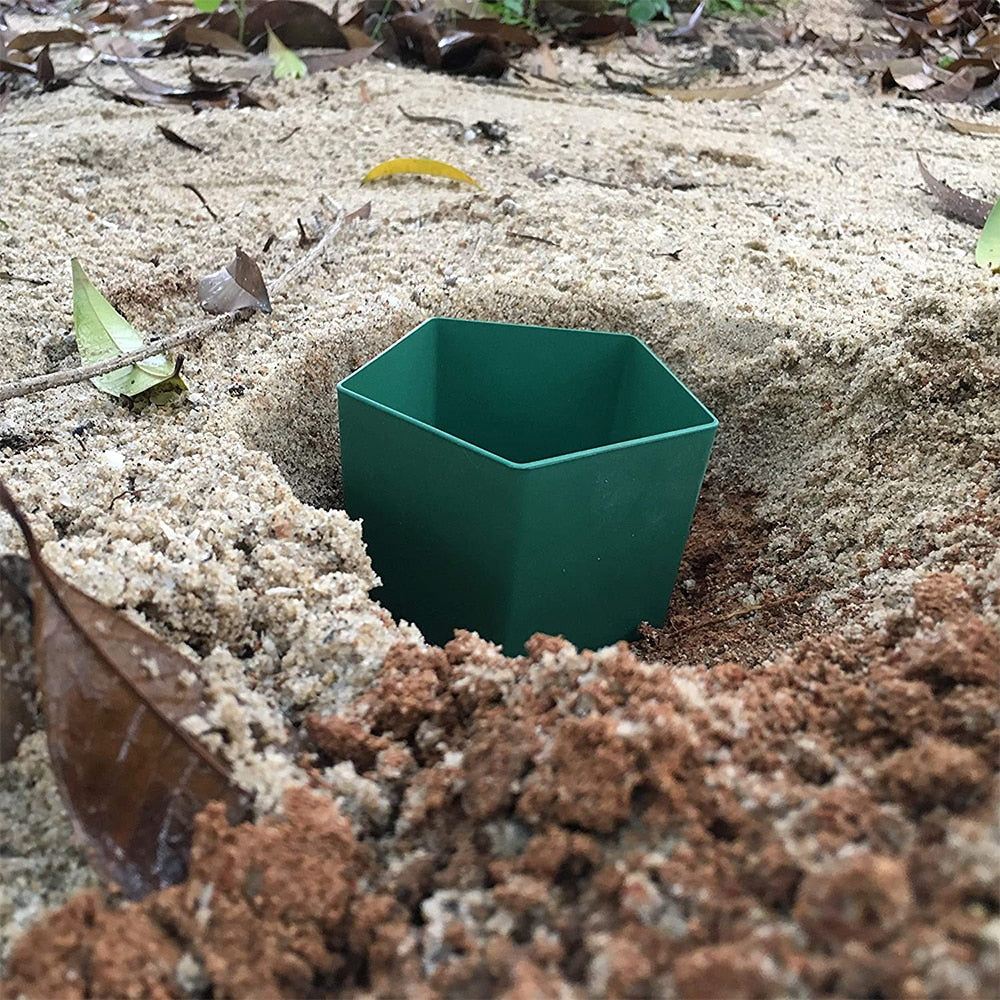 Eco-Friendly Farm Protector Insect Trap Box | Kalsten