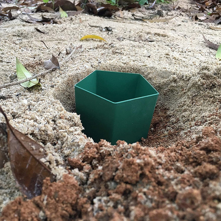Eco-Friendly Farm Protector Insect Trap Box | Kalsten