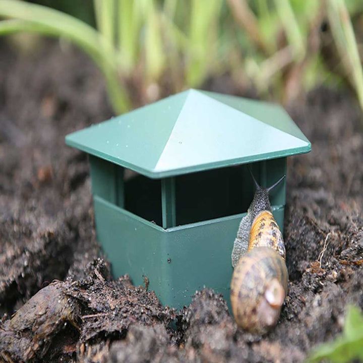 Eco-Friendly Farm Protector Insect Trap Box | Kalsten